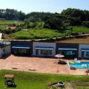 라온애견펜션 이미지