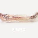 양지A 이미지