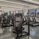 더 어반 핏 이미지