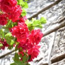 부영10차(중흥마을1단지) 이미지