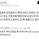 백인이 얼굴에 검은칠하고 흑인이라고 칭하는 것은 블랙페이스라고 하는 인종차별 행위인데 이미지