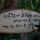 글로벌화원