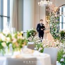 세인트41 이미지