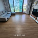 센트럴파밀리에 이미지