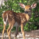 시행착오 이미지