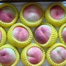 케이비농장 이미지