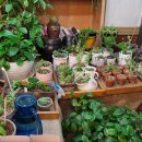 아침에빵굽는마을 이미지