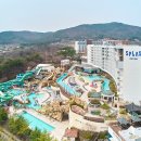 스플라스리솜 네이버블로그