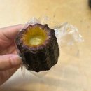 버스정류장(14-199) 이미지