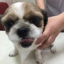 신석초교 이미지