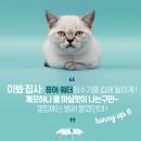 퓨어워터