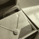 미꼬(Miko) 이미지