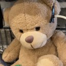 솜리갈비 이미지