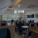 안양 동편마을 카페 항공컨셉 이색 카페 ’볼라레‘ 후기