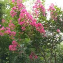 우물가 쉼터 이미지