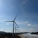 신안인터내셔널