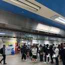 부여종합운동장_1 (옥외1) | [2026 서울마라톤] 동아마라톤 2026 10km 코스, 완주 후기!