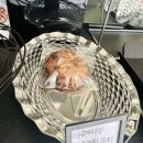 유러베이커리 이미지