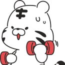 백호스포츠