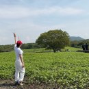 세화 목욕탕 | 제주 혼자여행 5/9-11 2박3일_3일차 기록 블로그(한라산 영실코스,월정리, 와흘메밀마을축제, 혼모심...