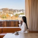 오포짓 스탠다드(OPPOSITE STANDARD) 이미지