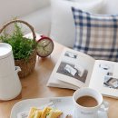 푸드스타일리스트봉식이의라이프