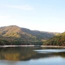 수원지민박 이미지