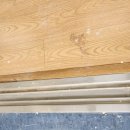 금빛초교 이미지