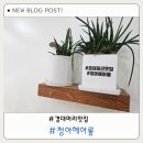 경대북문 미용실 산격동 청아헤어룸 남자펌 후기