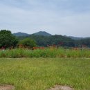 좌구산 오토캠핑장 이미지