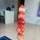 선한영만두 | [창원 배민 맛집] 중딩 때 이후로 탕후루 처음 먹었다 ㅋㅋㅋ : 창원 탕후루·과일 배달 영이네 과일