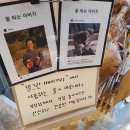 밀그린베이커리