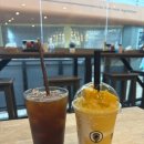 피피팜 | 푸켓 신혼여행 피피섬 가기(3일차)