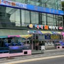 8딱8딱회바라기