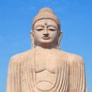 매화랜드 이미지