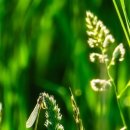 한우정육소 파주운정 이미지