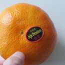 주니청과 이미지