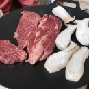 트리앤캠프스토리 이미지