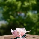 봉서산약수 이미지