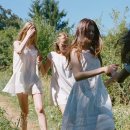 화이트코튼 이미지