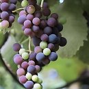 성공짐 | 드디어 이사 짐 쌀 때 든든한 내 편 등장! 짐 정리 싹 맡기기 성공 후기