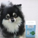 레오메디 이미지