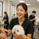 [신규] (단기)반려동물미용사(자격증) | 성남애견미용학원 애견미용사 빠른 취업 궁금하다면?