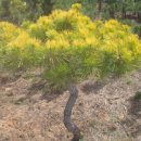 남송농장 이미지