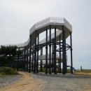 몽산포 송림 이미지