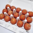 튼튼한우 농장 이미지