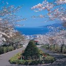 (주)제주신화항공여행사 이미지