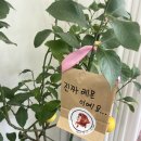 Maman.윤 네이버블로그