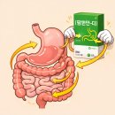 다제스팜 네이버블로그