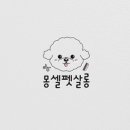 몽셀펫살롱 네이버블로그
